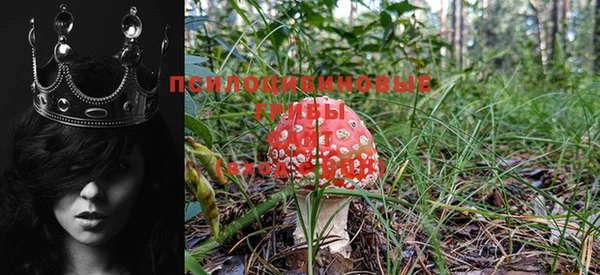 MDMA Горнозаводск