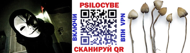 Купить  Петровск  Галлюциногенные грибы Cubensis 