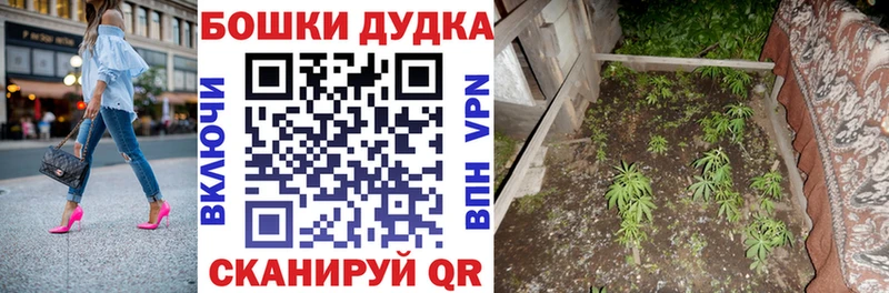 Купить закладки  Петровск  Шишки марихуана гибрид 